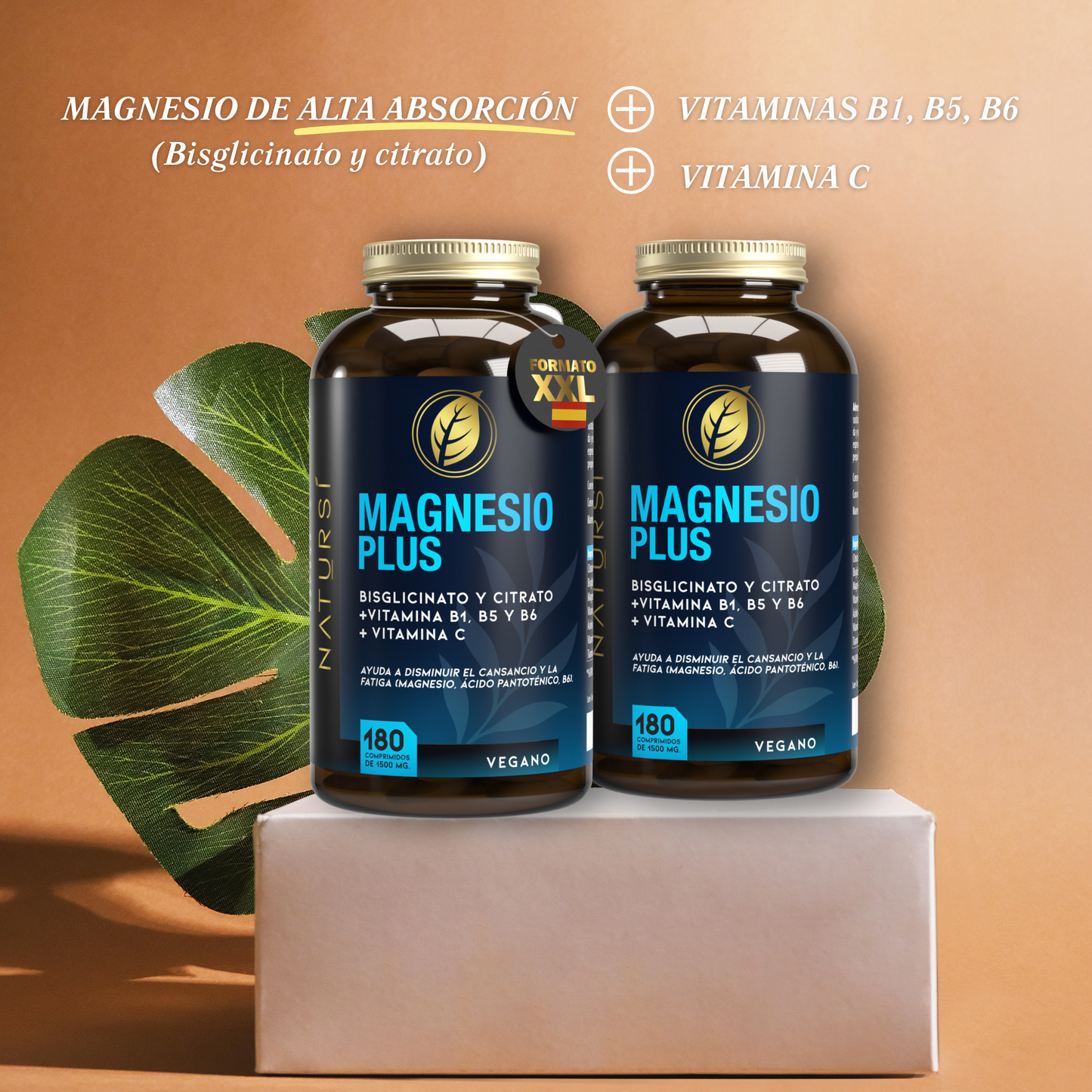 MAGNESIO PLUS PACK 2 UNIDADES